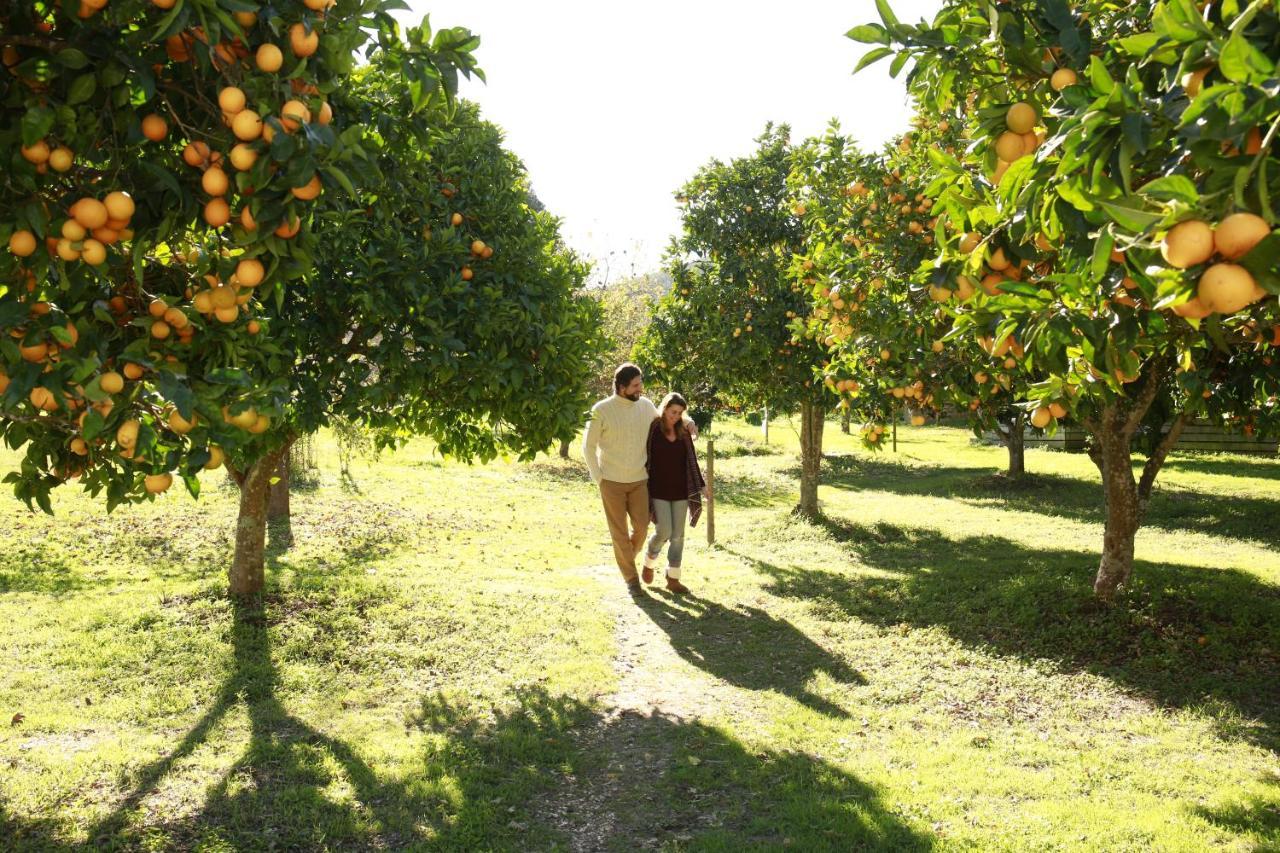 Herdade Da Matinha Country House & Restaurant Cercal do Alentejo Eksteriør billede